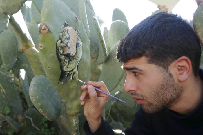 Palestinian artists have used cacti as a unique and eye-catching canvas for their artwork. – The Daily Worlds