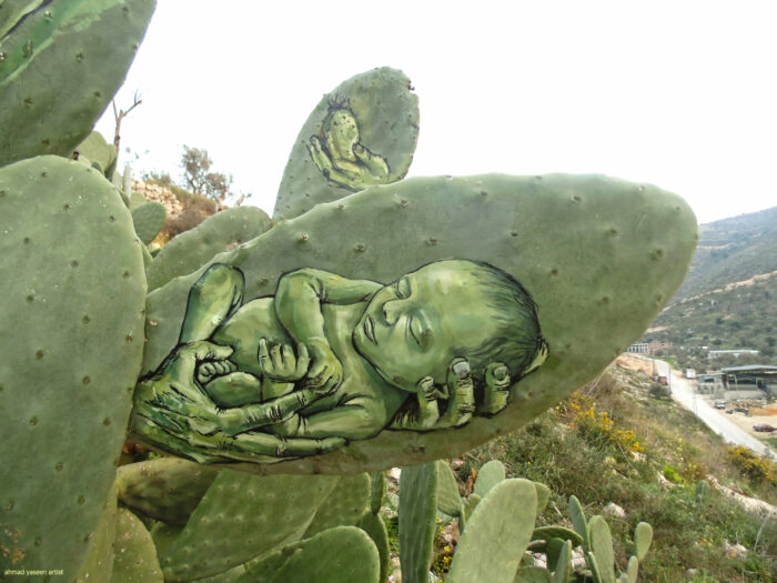 Palestinian artists have used cacti as a unique and eye-catching canvas for their artwork. – The Daily Worlds