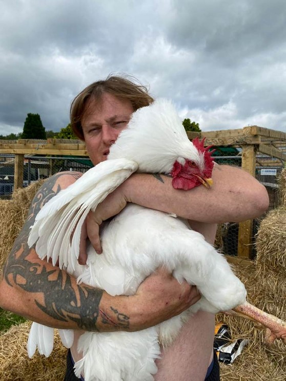 jersey giant chickens for sale uk - hull poultry