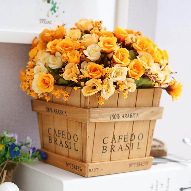 Dreamy Orange and Cream Blossoms in Tidy Planter