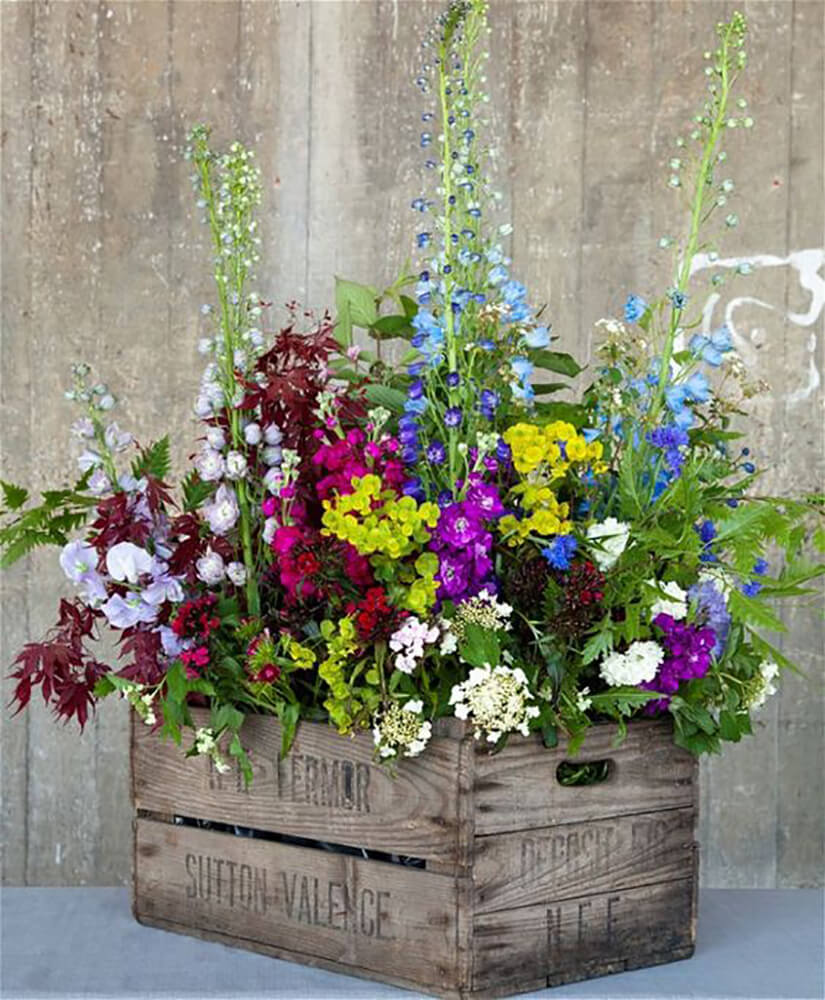 Garden Rainbow in Weathered Crate