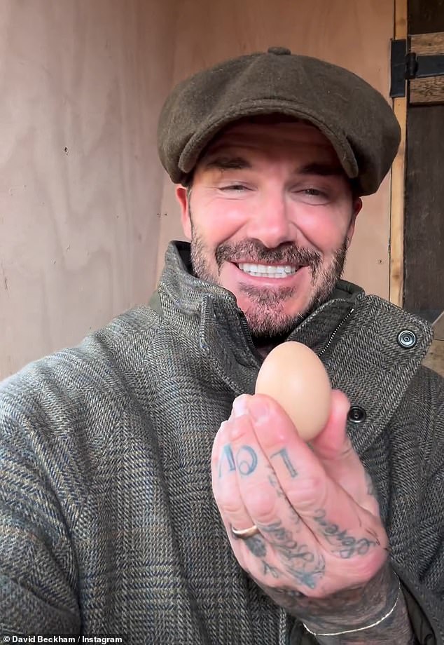 David Beckham collected his first egg from the chickens his wife Victoria got him for Christmas on Friday