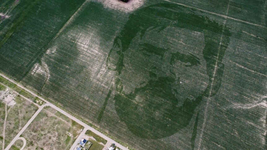 Argentinian farmer celebrates World Cup win with corn crop depicting Lionel  Messi's face - ABC News