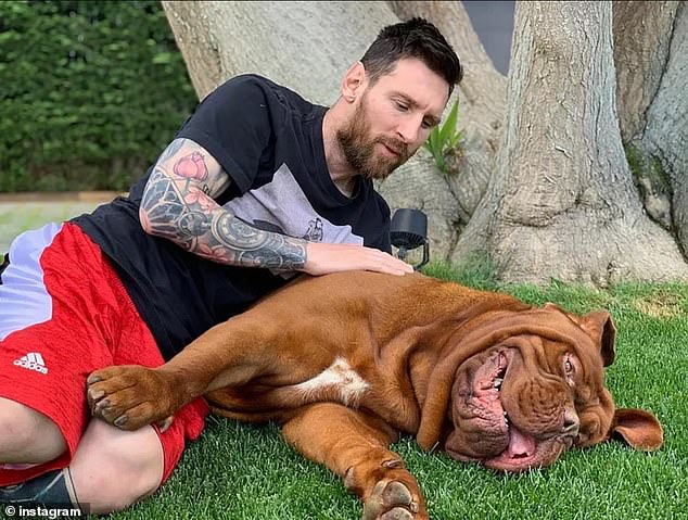 Lionel Messi opens up about the painful decision he and his wife Antonela made to leave their pet dog Hulk behind when they moved to Miami