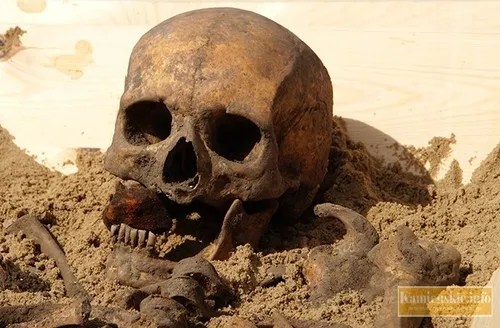 Vampire' Skeleton Unearthed in Poland - lamus dworski