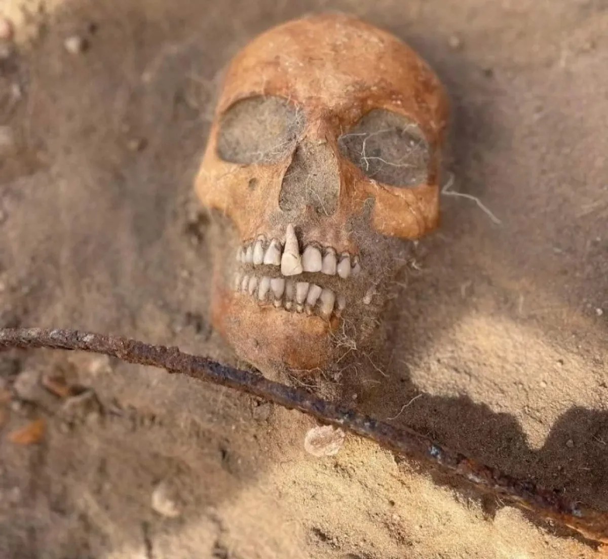 Archaeologists unearth remains of 17th-century female “vampire” in Poland | Ars Technica